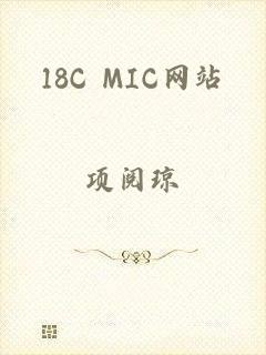 18C MIC网站